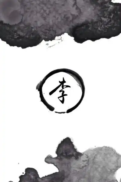 新年姓氏壁纸大全特别篇微信头像壁纸百家姓李姓专辑我姓李你在我心里