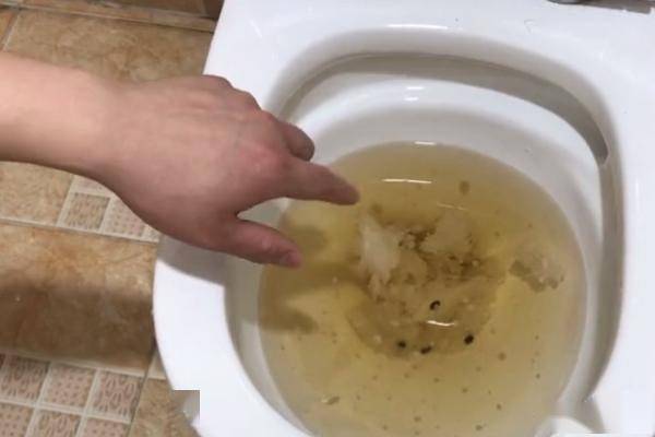马桶堵了但还缓慢下水怎么办