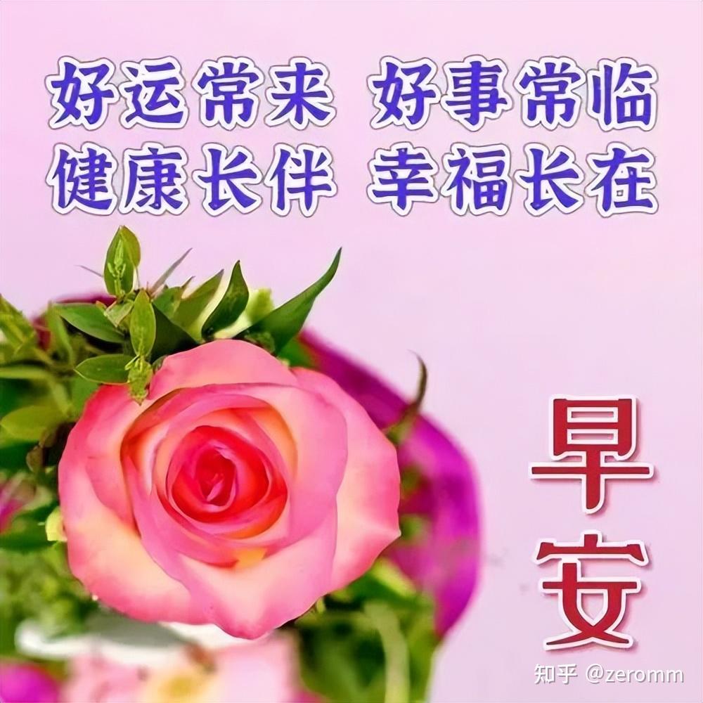 美好暖心的早安正能量问候语清晨很温馨的早上好祝福图片