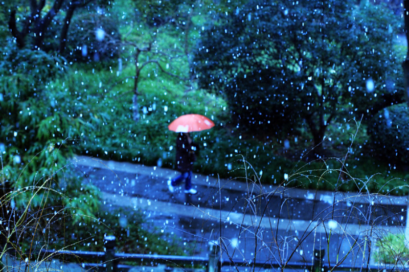 漫天飞舞的雪花