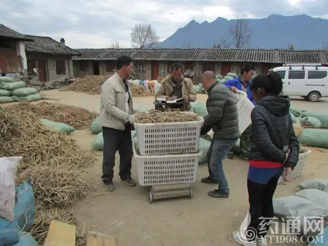中药材药通网-云南鲁甸乡地产药材