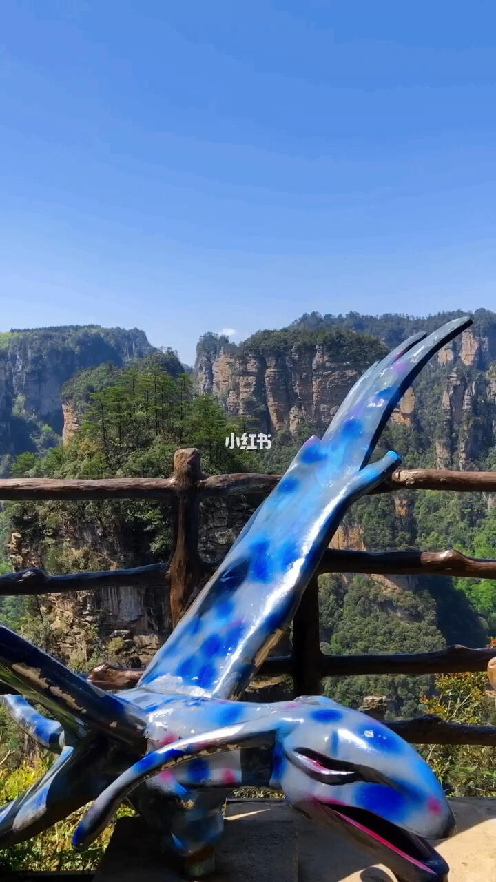 张家界阿凡达悬浮山取景地你来过吗