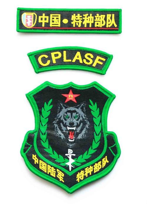 特种兵部队臂章的三色代表着三军,三栖之意(红色——陆军,蓝色