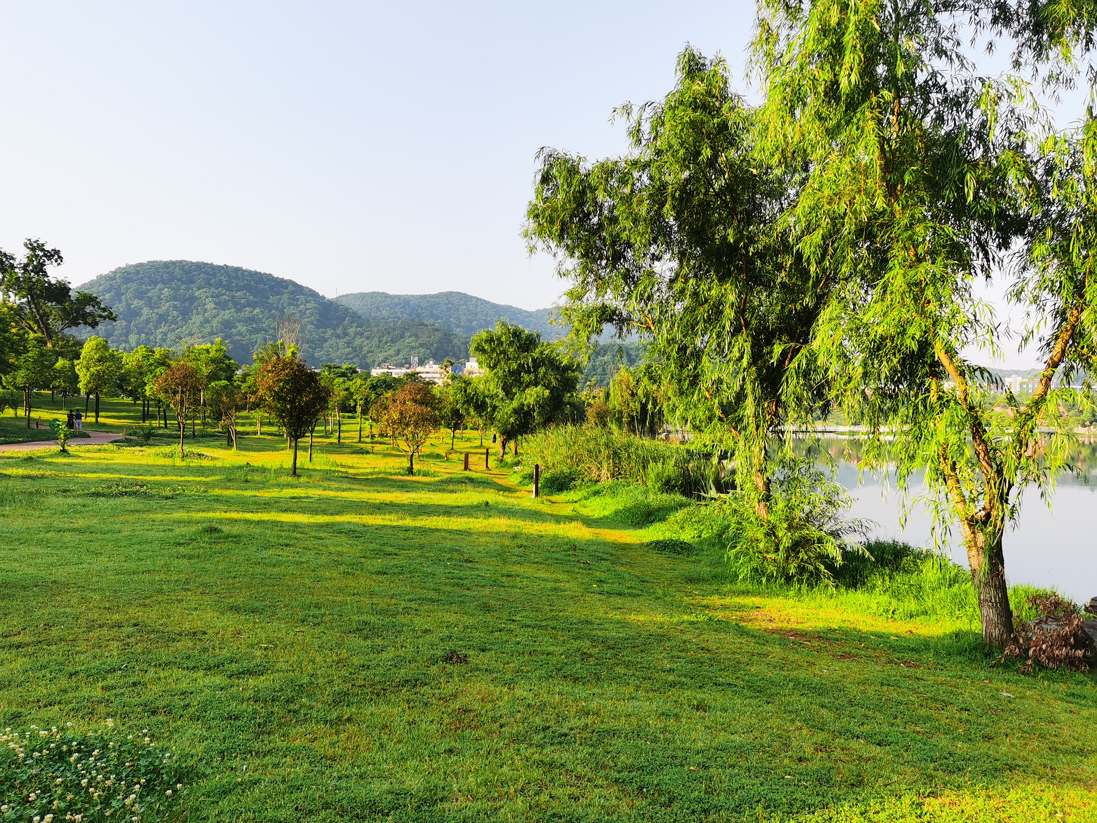 随手拍长沙西湖公园