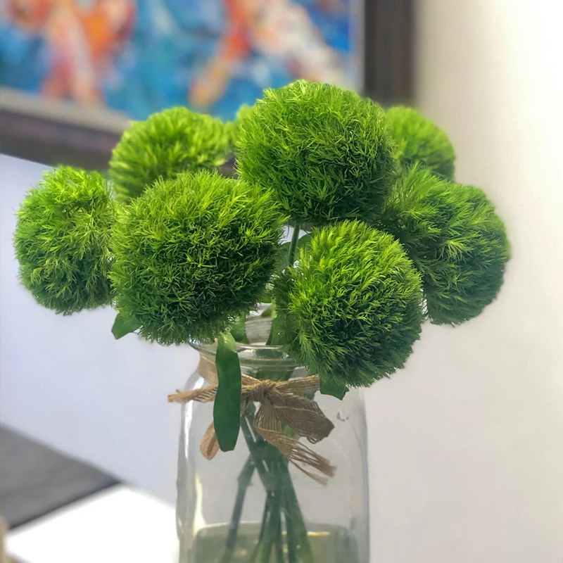 绿毛石竹绿绒球可爱的高级小众花材云南水养花材