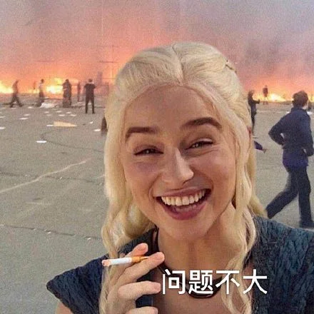 问题不大龙妈表情包