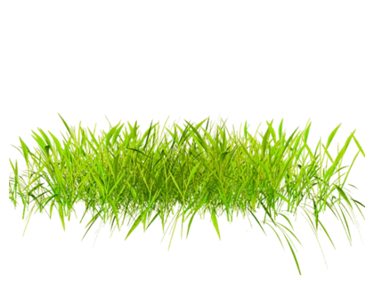 草坪草地草原小草环保树木绿色草丛摄影后期免抠png元素素材查看来源