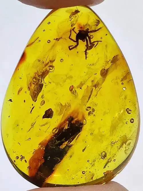 波罗的海琥珀虫珀蜘蛛蚊子水滴形吊坠