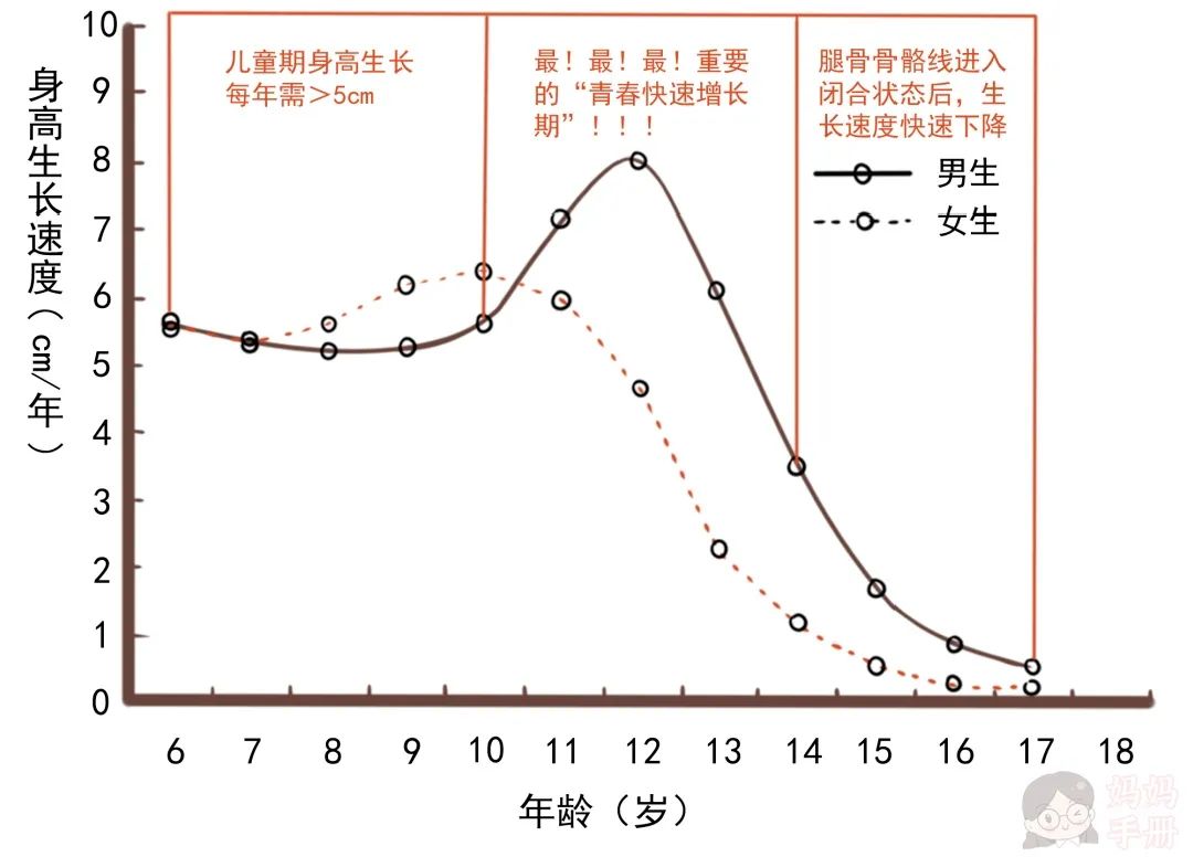 生活中,很多家长都比较重视孩子青春期的身高发育,而忽视其他年龄阶段