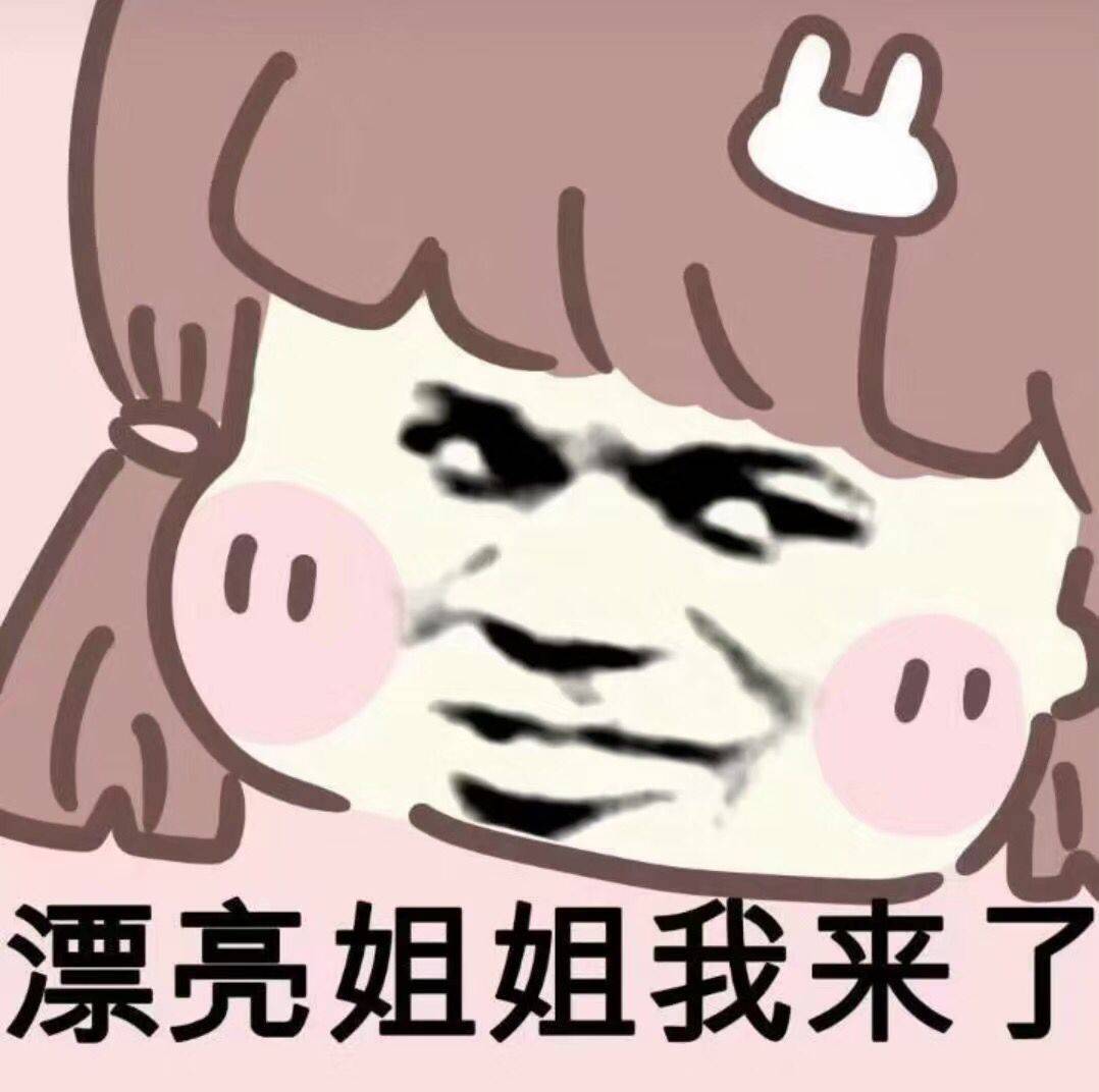 漂亮姐姐我来了-表情包大全-斗图表情
