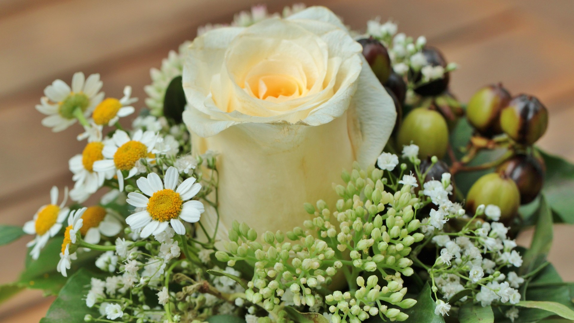 精致唯美玫瑰花图片桌面壁纸