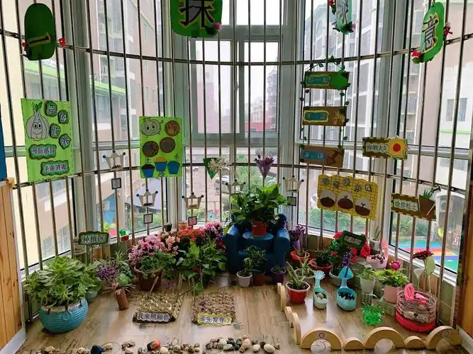 小牛顿幼儿园植物角创设