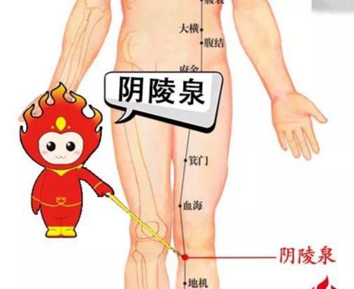 阴陵泉穴是脾经的合穴,艾灸此穴可清利湿热,健脾理气,通经活络,有效