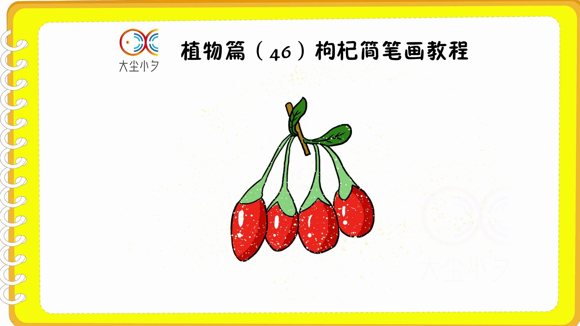 植物篇(46)枸杞简笔画教程