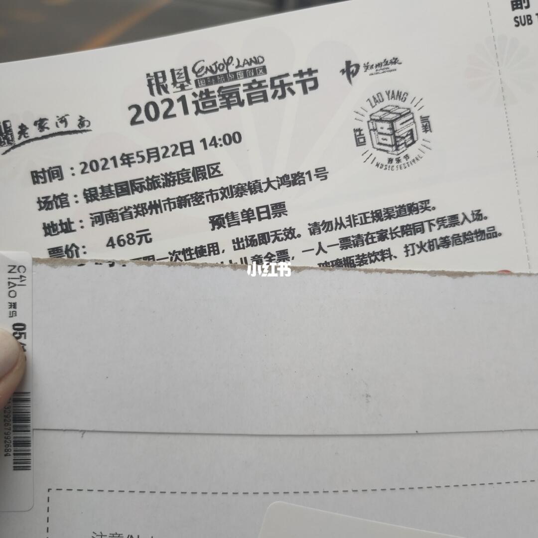 音乐节_郑州_郑州造氧音乐节_生活记录_日常片段_日常片段其他