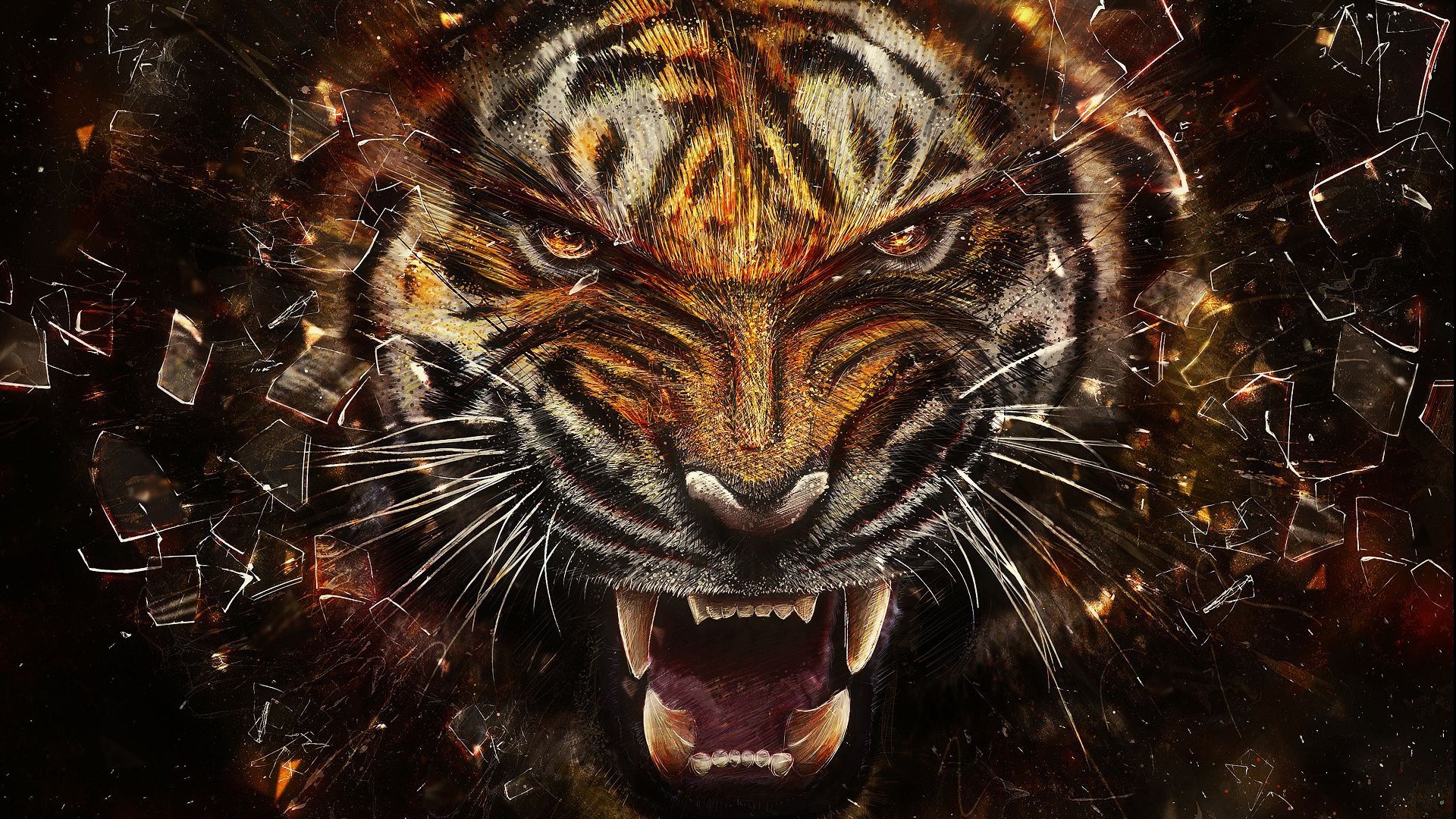 动物世界老虎摄影桌面壁纸下载7