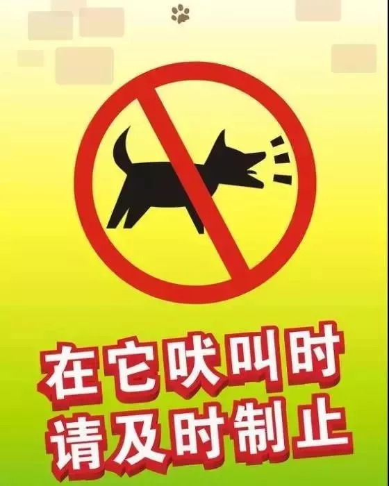 定期为爱犬注射疫苗是小狗生命安全的基本保障,也是每一个狗主人的