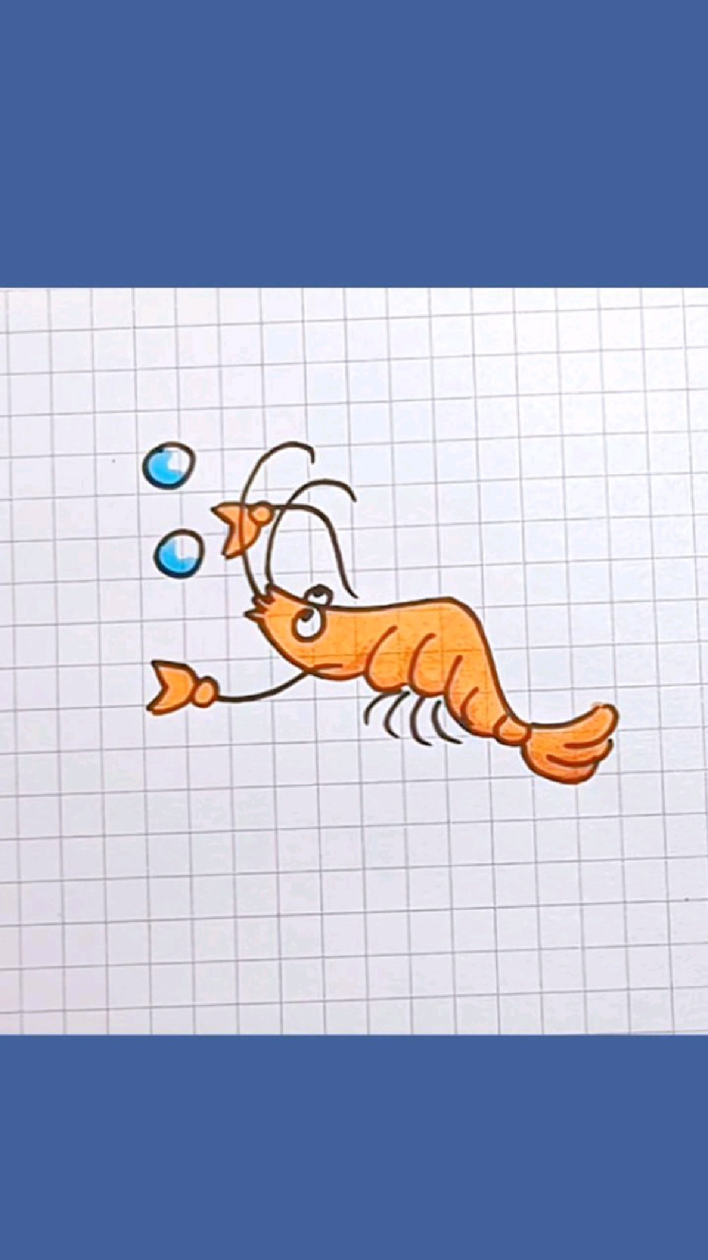 小虾的简笔画法