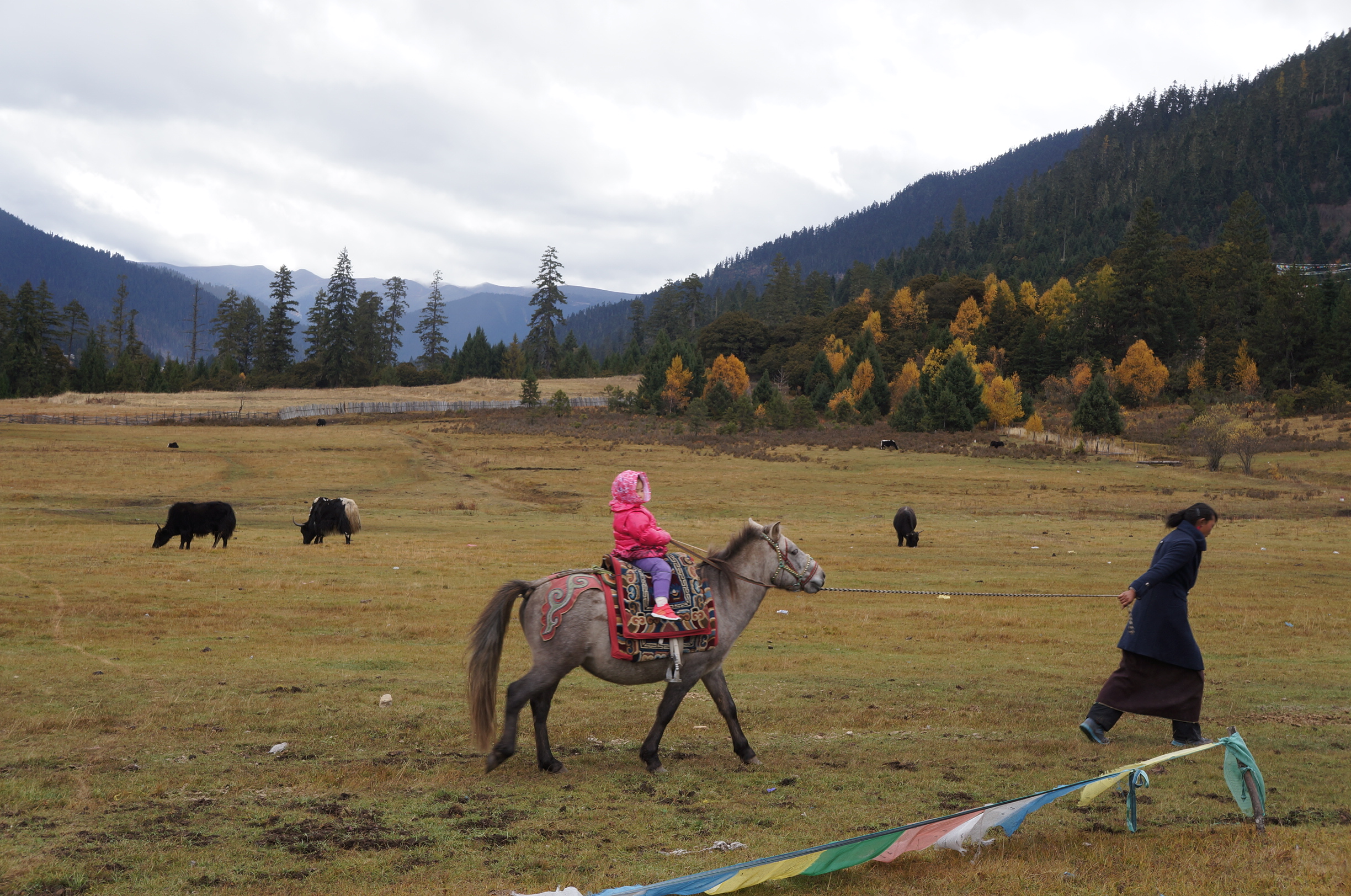 带着六十老妈四岁小女七日西藏游