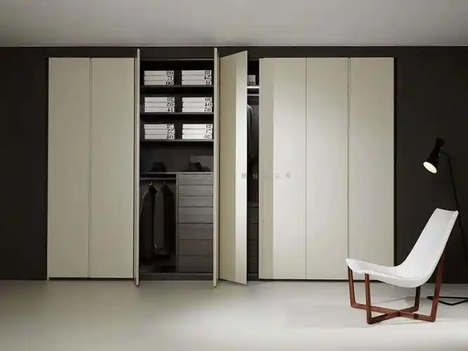 帝王贵族|创意定制家居 肤感整体衣柜 极简风格