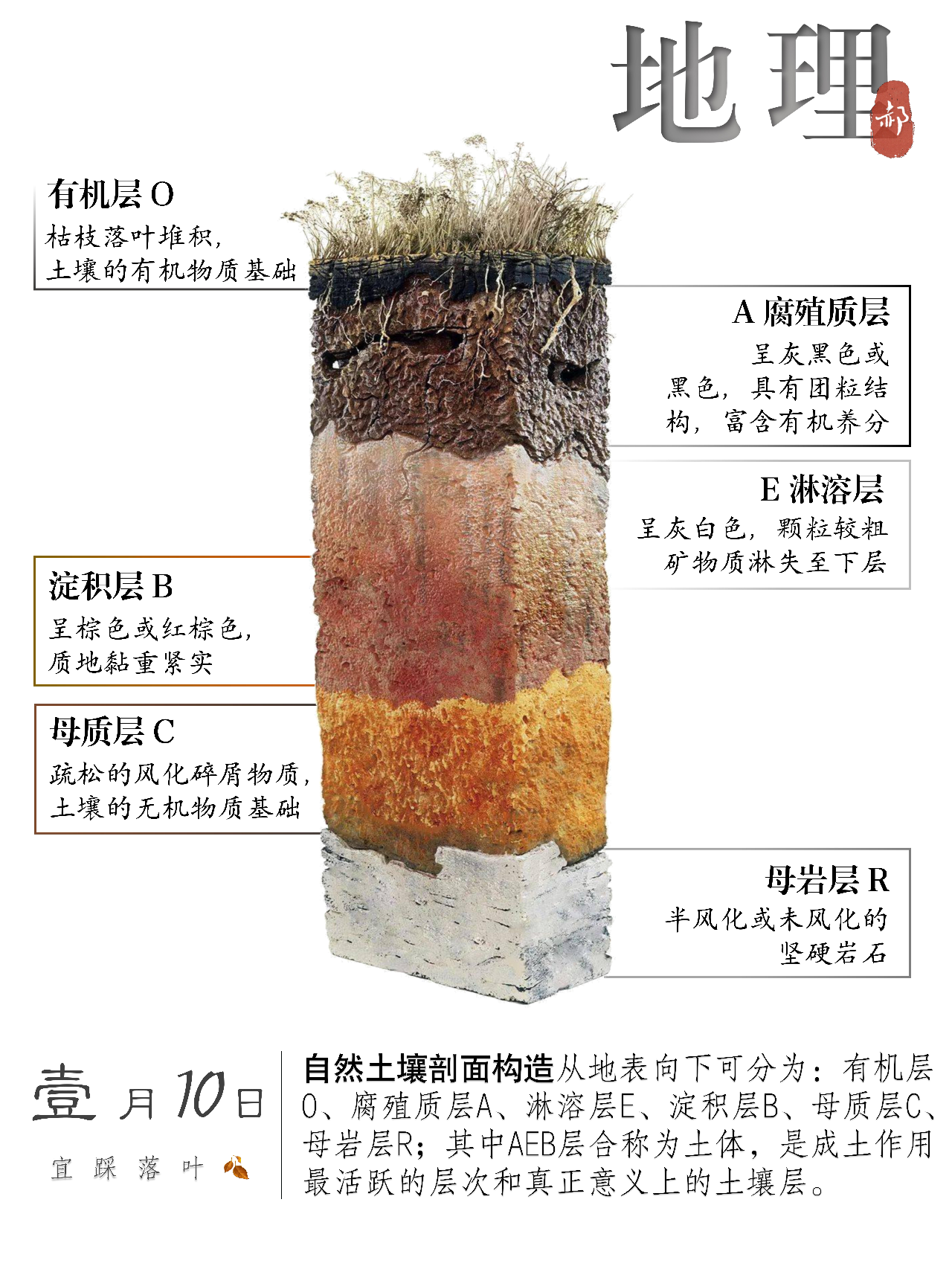 每天学点地理小知识#4 自然土壤剖面构造从地表向下可分为:有机层o