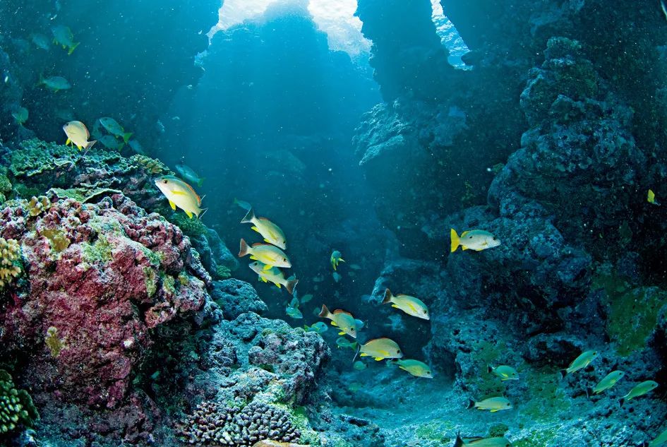 潜入远古的海底洞穴