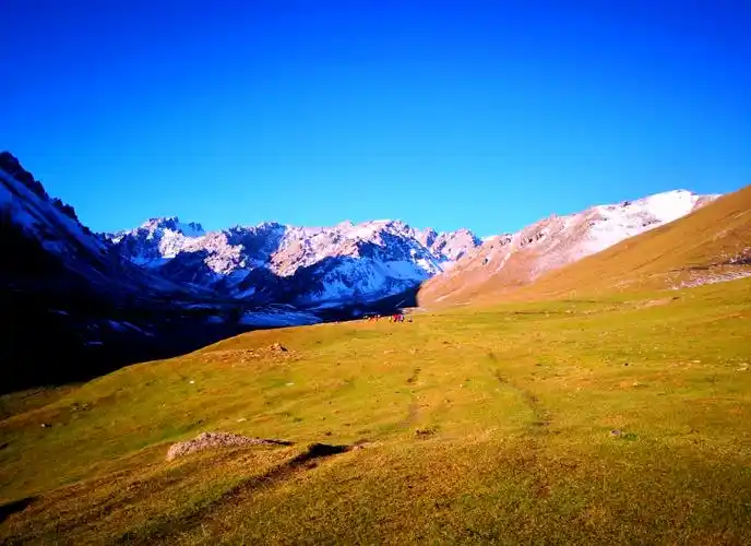 92巅峰狼途:狼塔c v探险记9015