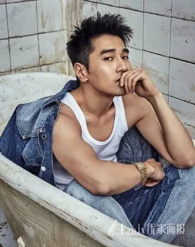 赵又廷写真图片 赵又廷整容式演技