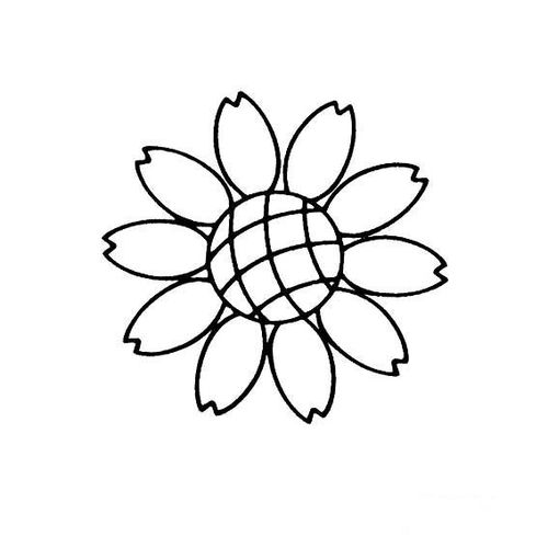 向日葵花简笔画画法不同形状的花朵简笔画图片大全画花的简笔画图片