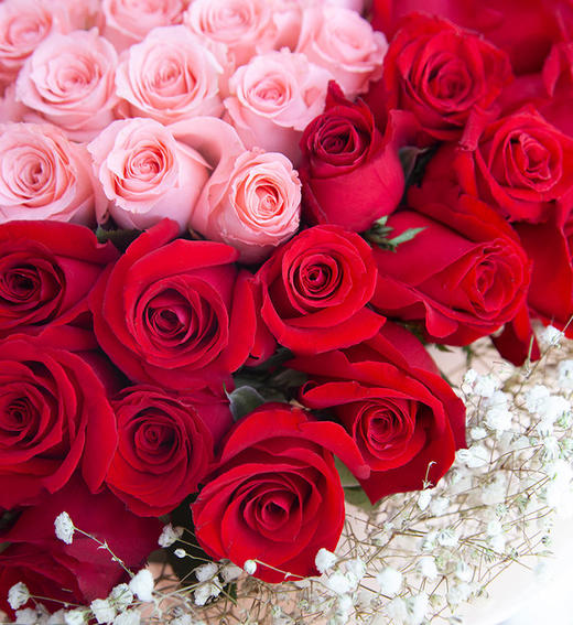 精品99朵玫瑰混搭花束 - 中国同城鲜花网
