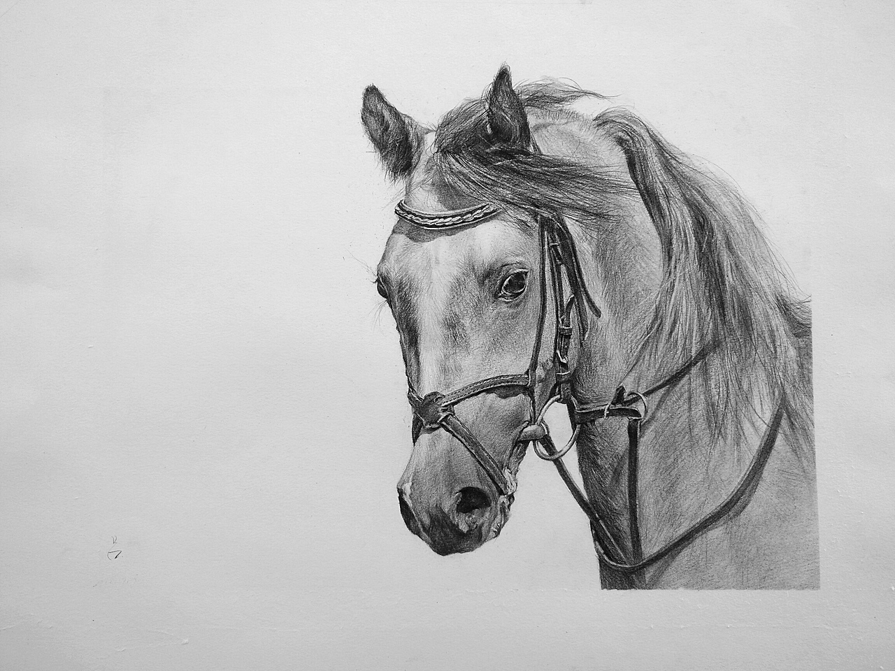 素描手绘写实作品信息创作时间2019/01/29收录收藏夹查看更多线条8