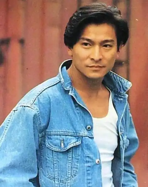 30个 整九十年代,刘德华先后获得过五次最受欢迎男歌手奖,包括1990