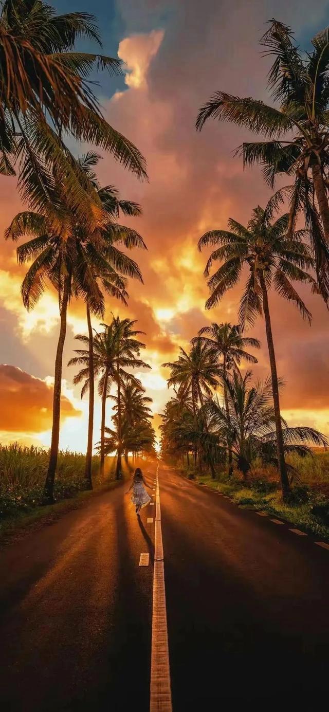 原图看简介或:vol 288 精选无水印高清手机壁纸