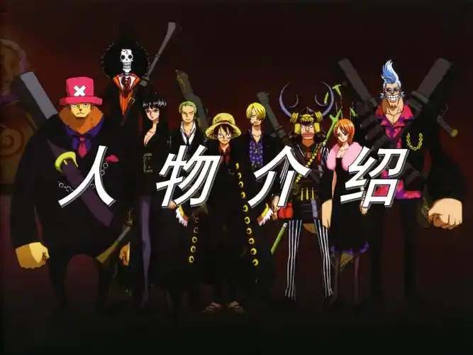 海贼王草帽海贼团人物介绍.ppt