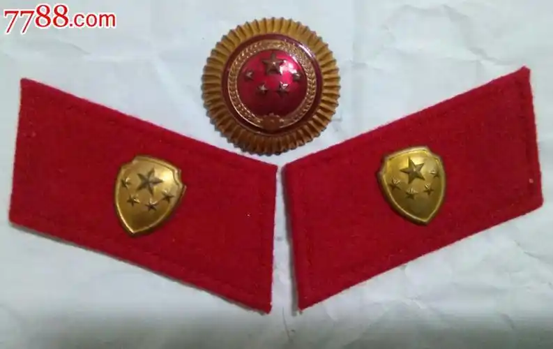 五五*安帽徽领章