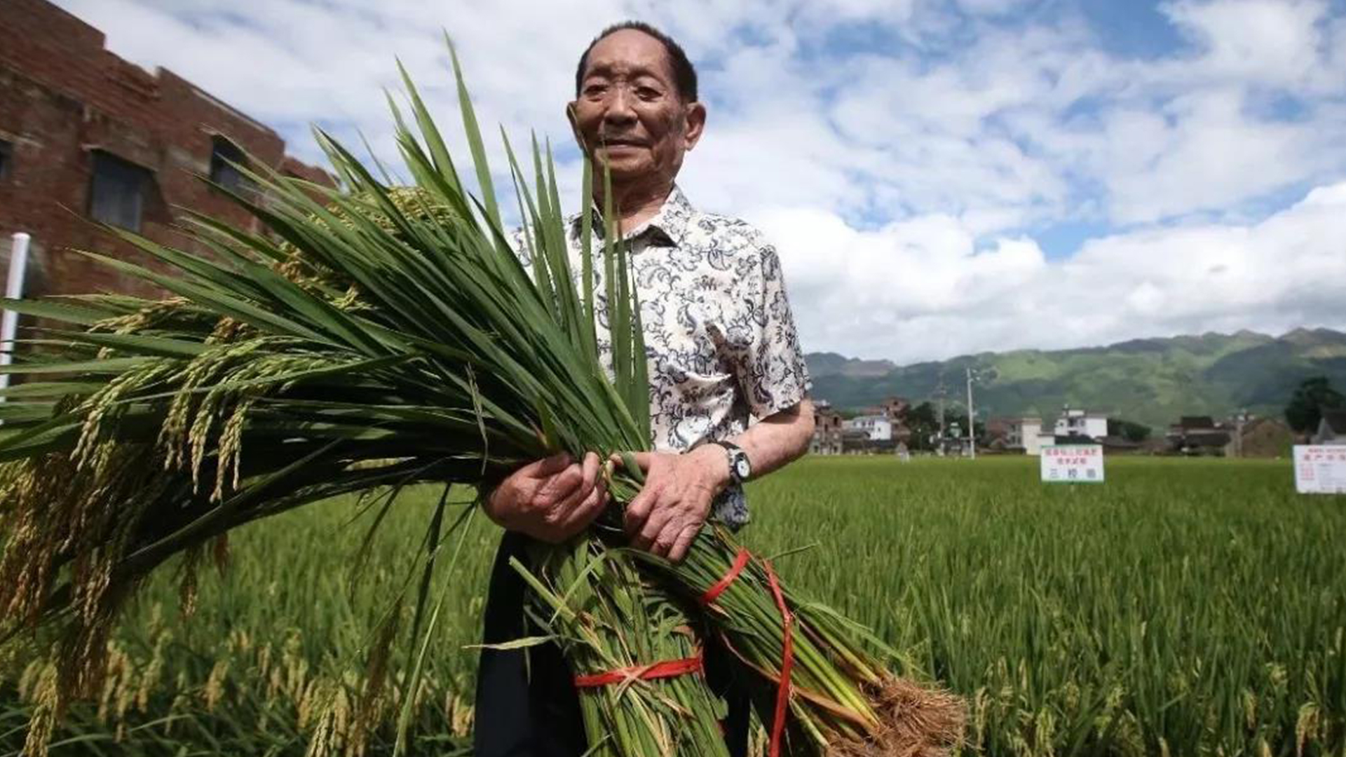 袁隆平院士2020年提出的又一亩产目标实现了!