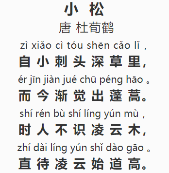 每日解读一首唐诗:049《小松》(杜荀鹤)