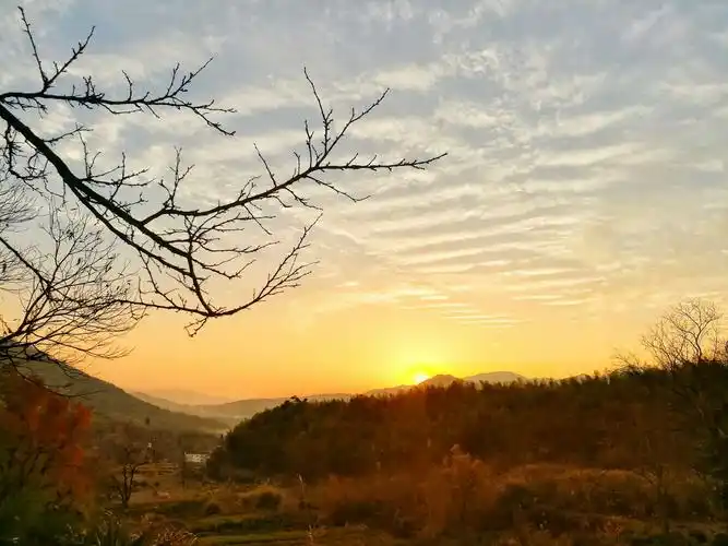 夕阳西下的塔川