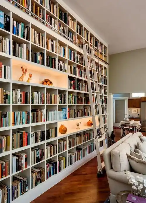 家居杂乱书籍哪里藏96款客厅书柜效果图欣赏