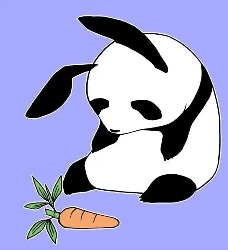 熊猫q版图片大全_真实熊猫头像图片