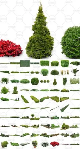 320张高精度园林绿化免抠植物贴图素材合集 tony texture .