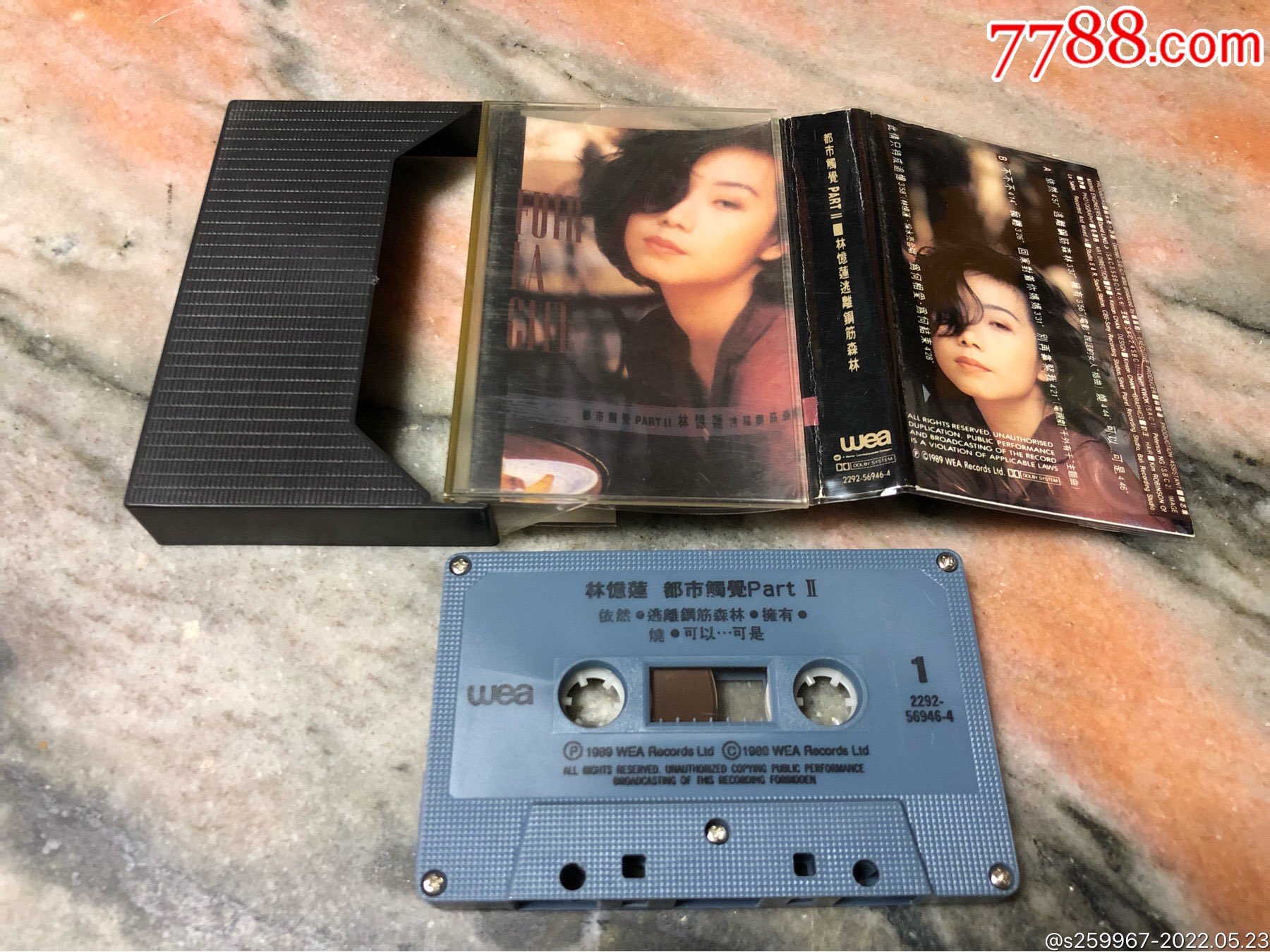 林忆莲都市触觉