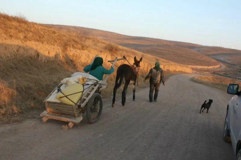 越看越亲切的农村老照片你见过几张上