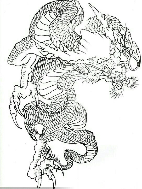 过肩龙纹身手稿 半胛