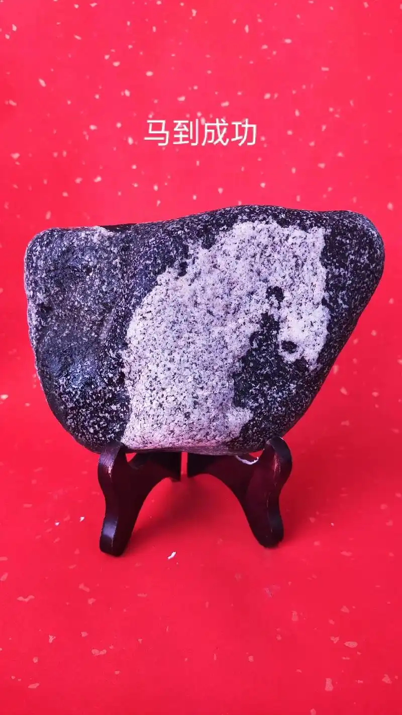 美石分享 传播奇石文化          ——动物形象奇石 - 抖音