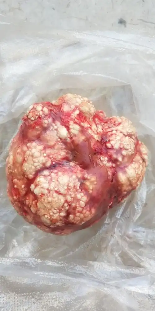 鸡宝求鉴定公鸡重163g