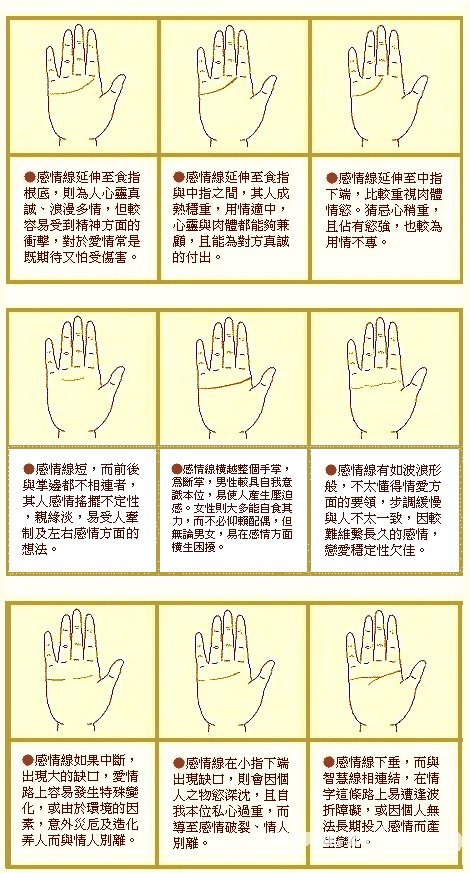 最详细的女人手相图解