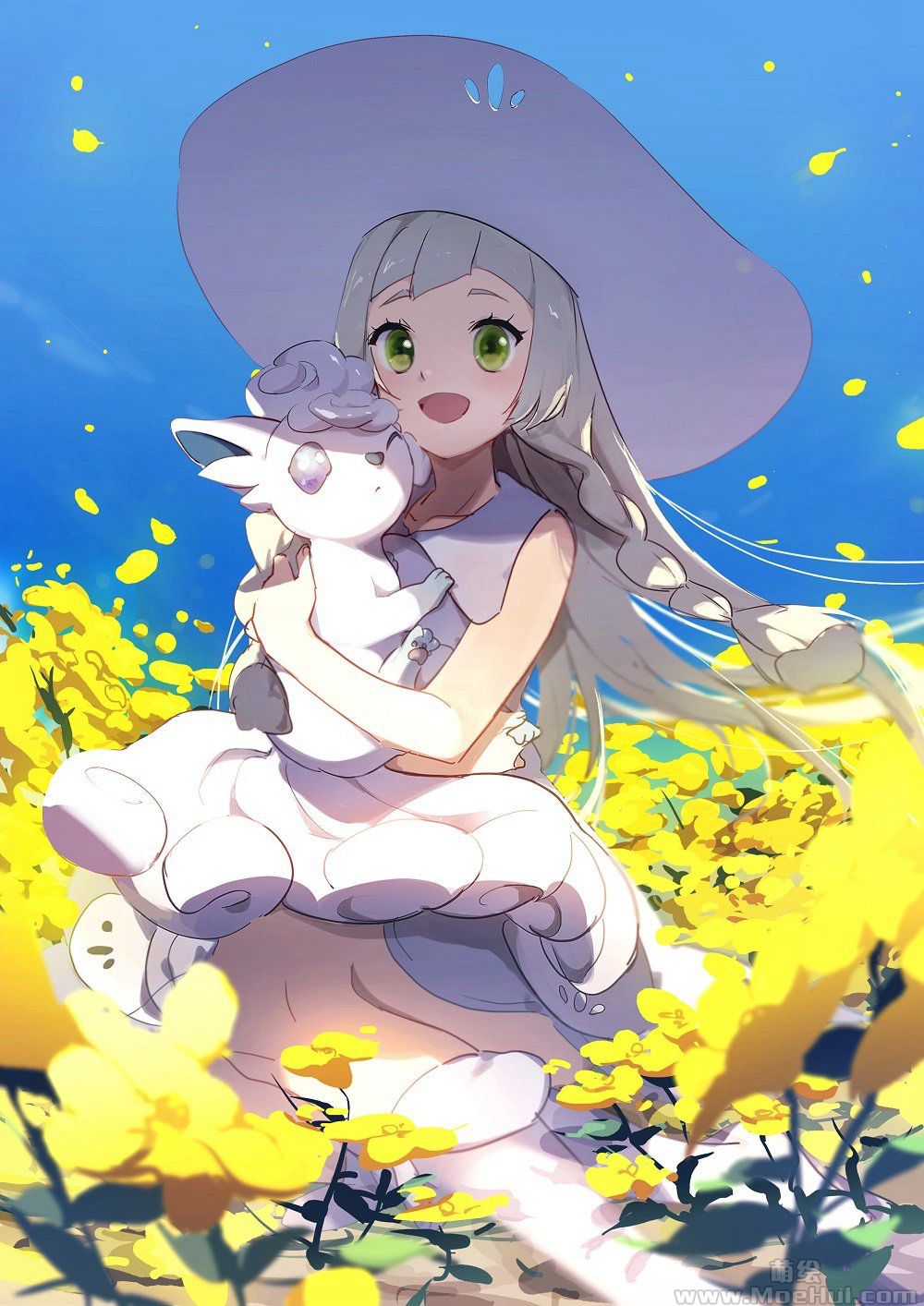 会员精灵宝可梦莉莉艾高清图片cg包2365p