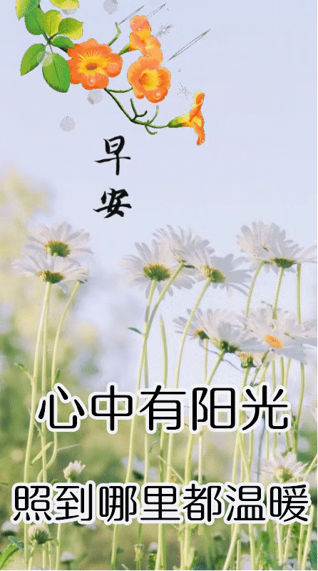 早安问候