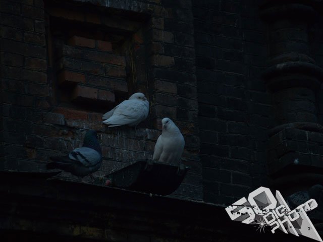 怎么用色阶图看照片的曝光量?